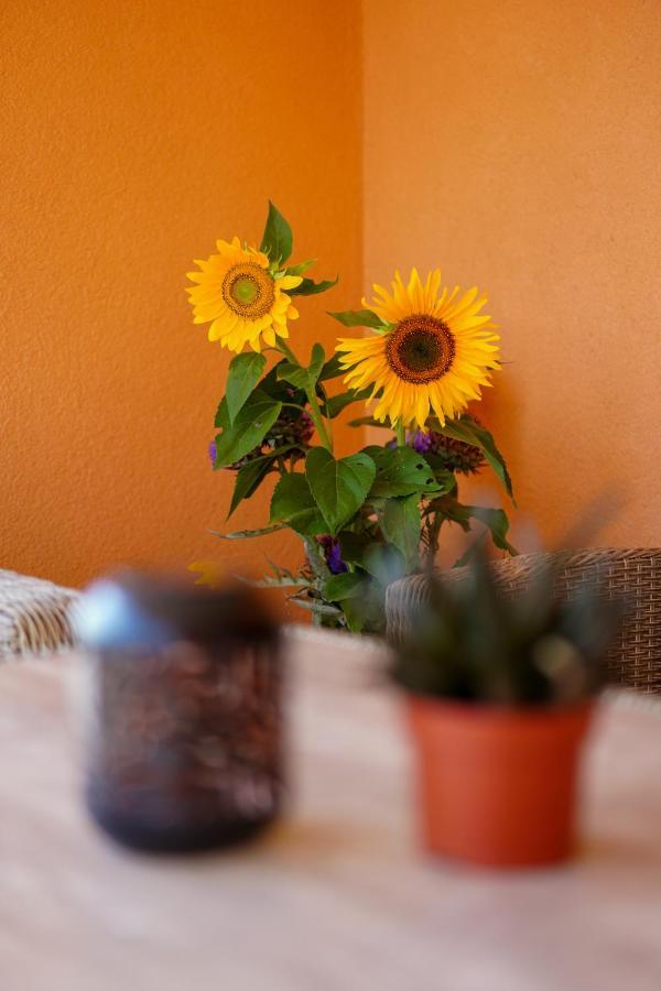 Maslina & Lavanda Appartement Podstrana Buitenkant foto